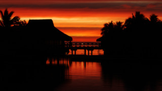 Sunset dock house palm trees - don arday free wallpaper