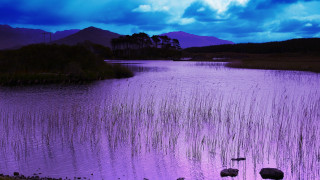 Purple sky lake mountains foreground - moody free wallpaper