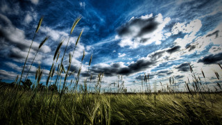 Field clouds hill lake mountains - tall grass free wallpaper