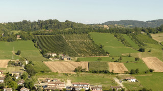 Field trees houses hill cityscape - a large field free wallpaper for desktop