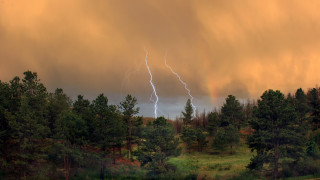 Large cloud lightning forest bush - thunderstorm free wallpaper