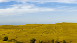 Yellow grass blue sky clouds - dosso dossi free wallpaper for desktop