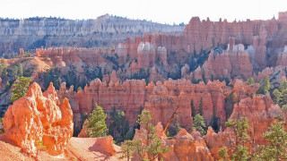 Canyon forest rocks autumn leaves - a canyon free wallpaper