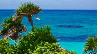 Ocean hilltop palm trees boat 3 - a hill top free wallpaper