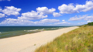 Sandy beach grassy shoreline cloudy - a sandy beach free wallpaper