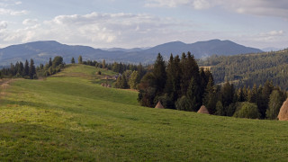 Grassy hill trees mountains clouds - a grassy hill free wallpaper