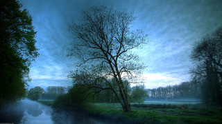 Tree river dusk blue sky - the cloud free wallpaper