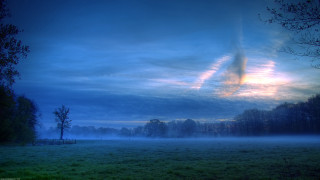 Clouds forest mist sky trees - cloud and trees free wallpaper