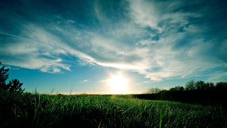Sunny field trees clouds blue 2 - free sky wallpaper for desktop