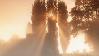 Foggy morning sunshine ecological art - eric deschamps free wallpaper