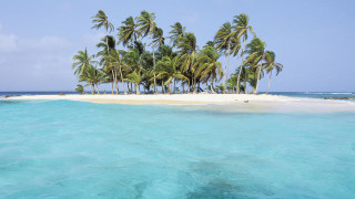 Small island palm trees blue - a small island free wallpaper