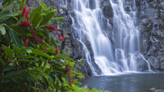 Waterfall flowers river nature mountains - the middle of the picture free wallpaper