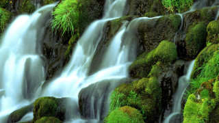 Mossy waterfall forest landscape impressionist - moss free wallpaper