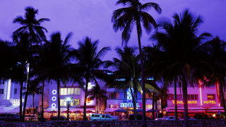Palm trees building night purple - david lachapelle free wallpaper for desktop