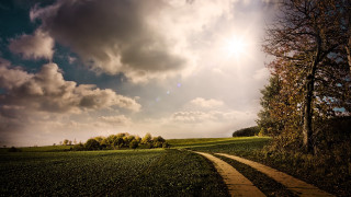 Field path tree cloudy sky - a path in a field free wallpaper