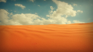 Desert lone tree orange sky - a desert free wallpaper