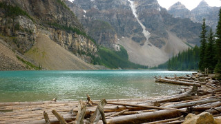 Mountain lake logs snowy peaks - the foreground and a mountain range in the background free wallpaper