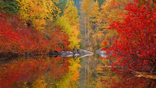 Lake fall colors forest autumn - fall free wallpaper