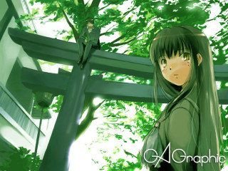 Girl tree forest bamboo giantess - a tree in a forest free wallpaper