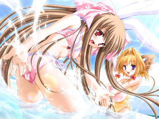 Anime girls water bikini rabbit - the water together free wallpaper
