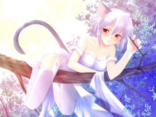 White dress woman cat tail - white dress free wallpaper