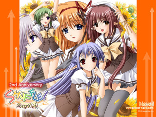 Anime girls sunflowers orange background - an orange background free wallpaper