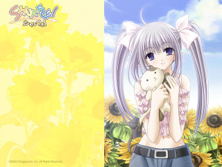 Girl stuffedanimal sunflower field outdoors - a girl holding free wallpaper