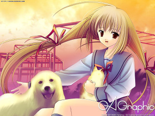 Girl dog building sunset longhair - a yellow sky free wallpaper