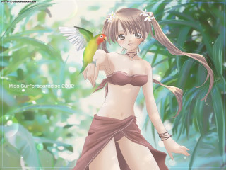 Jungle anime bikini bird parrot - a jungle free wallpaper