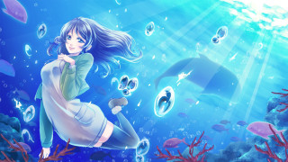 Girl floating dolphin bubbles fish - a dolphin free wallpaper