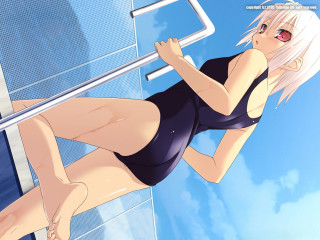 Woman swimsuit albino anime fence - a towel free wallpaper