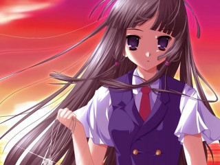 Long haired girl sunset anime - her long hair free wallpaper