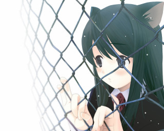 Chizuko yoshida girl fence cat - furry art free wallpaper