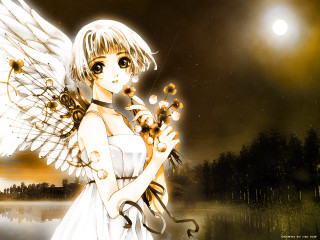 Angel wings girl moon flowers - her hand and a moon in the background free wallpaper