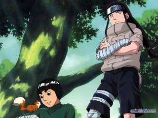 Forest bush tree squirrel animals - a squirrel free wallpaper