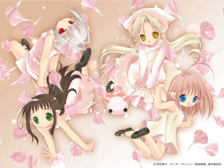 Anime girls flower pig alice - eye free wallpaper