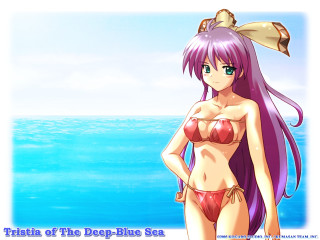 Beach bikini woman fish hair - a bow free wallpaper for desktop