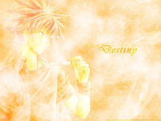 Anime boy yellow background rayonism - a anime character free wallpaper
