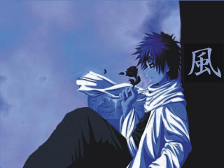 Black haired man ledge bird - a blue sky behind free wallpaper