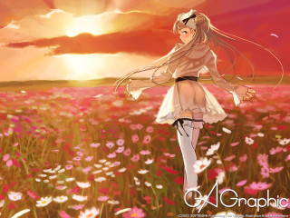 Girl flower field sunset clouds - the sun shining free wallpaper