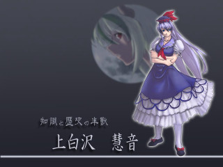 Woman cat chinese caption synchromism - chinese character free wallpaper