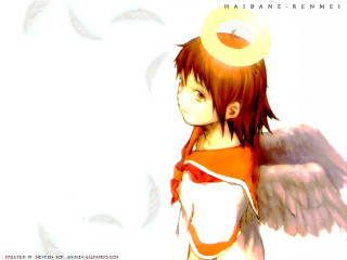 Angel halo wings dove school - her body free wallpaper