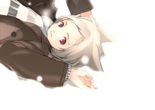 Furry anime man animalears brownjacket - his eye free wallpaper