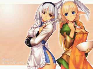 Anime girls white hair blue - two anime girl free wallpaper