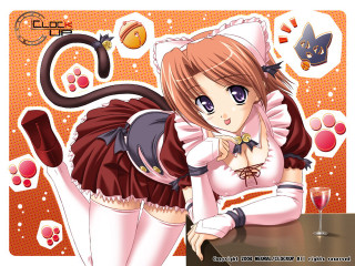 Girl cat dress wine anime - free cats wallpaper