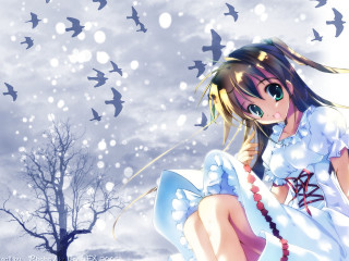 Snow girl white dress birds - bird free wallpaper for desktop