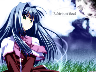 Girl long hair grass moon - her knee free wallpaper