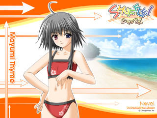 Girl beach bikini sunset illustration - a beach in the background free wallpaper