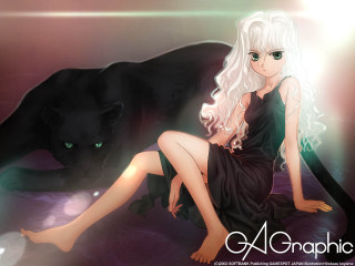 Black dress woman cat bed - a black cat free wallpaper