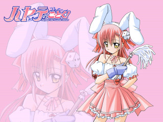 Pink dress bunny ears portrait - a bunny ear free wallpaper